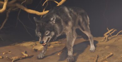 Todas las guaridas de lobo en fantasma de yotei