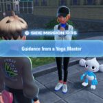 Orientación de un guía maestro de yoga