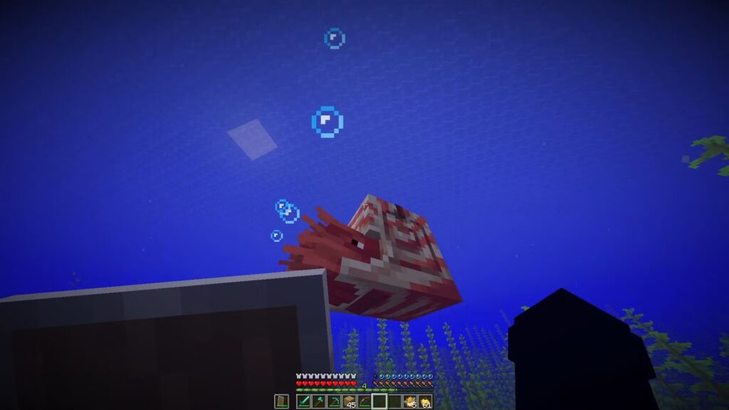 Minecraft: Cómo domesticar a Nautilus