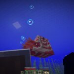 Minecraft: Cómo domesticar a Nautilus