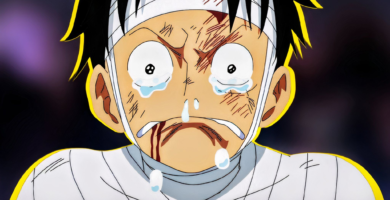 ODA confirma oficialmente un pirata que ha superado al mono D. Luffy