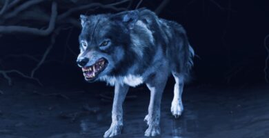 Cómo actualizar Wolf en Ghost of Yotei