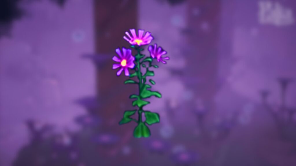 Cómo cultivar Elderwood Cosmo en Palia