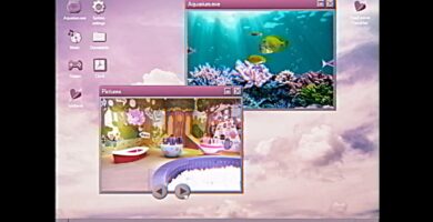 Tu amigo para siempre - Tráiler del anuncio oficial