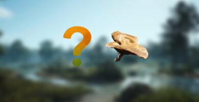 3 lugares para encontrarlos en Dam Battlegrounds