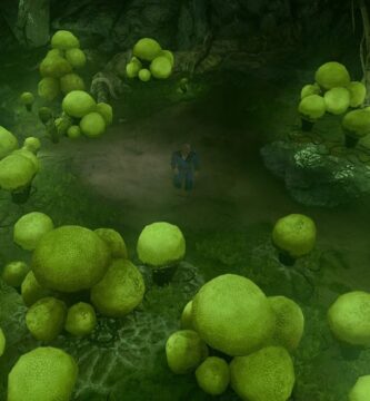 Cómo encontrar y guardar el recolector de hongos en BG3 (Baldur's Gate 3)
