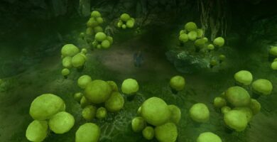 Cómo encontrar y guardar el recolector de hongos en BG3 (Baldur's Gate 3)