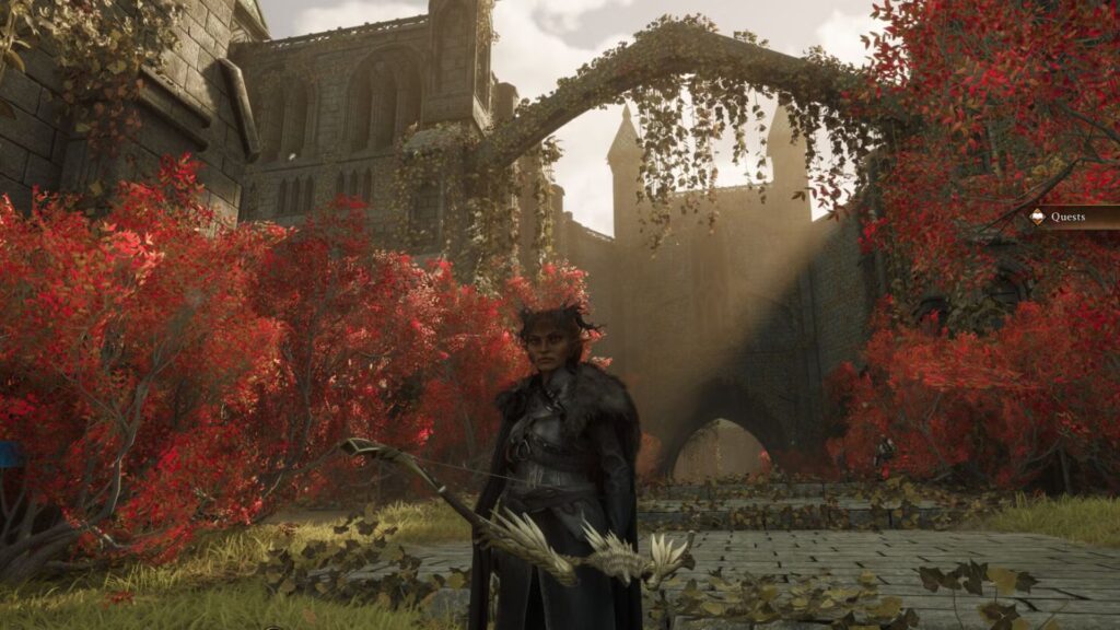 Consejos para principiantes sobre las cenizas de la creación