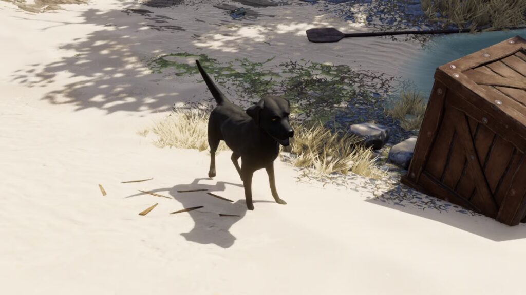 Tutorial para encontrar a Emmie (Clave de Buddy)