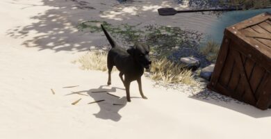 Tutorial para encontrar a Emmie (Clave de Buddy)