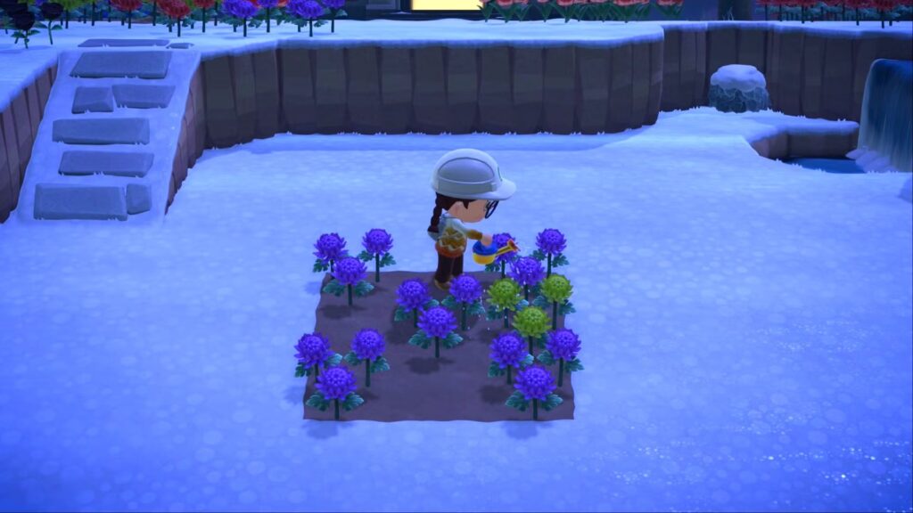 Cuadro de mejoramiento de flores (y cómo cultivar híbridos)