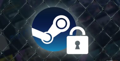 Explicación de la función 'Marcar como privado' de Steam