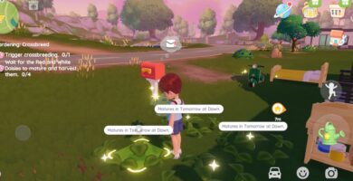 Cómo criar flores en Heartopia