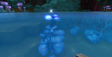 Ubicación de algas azules en Hytale
