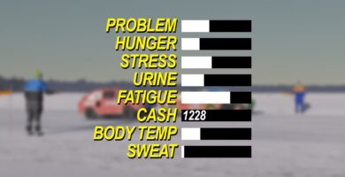 Cómo gestionar todos los atributos del jugador en My Winter Car