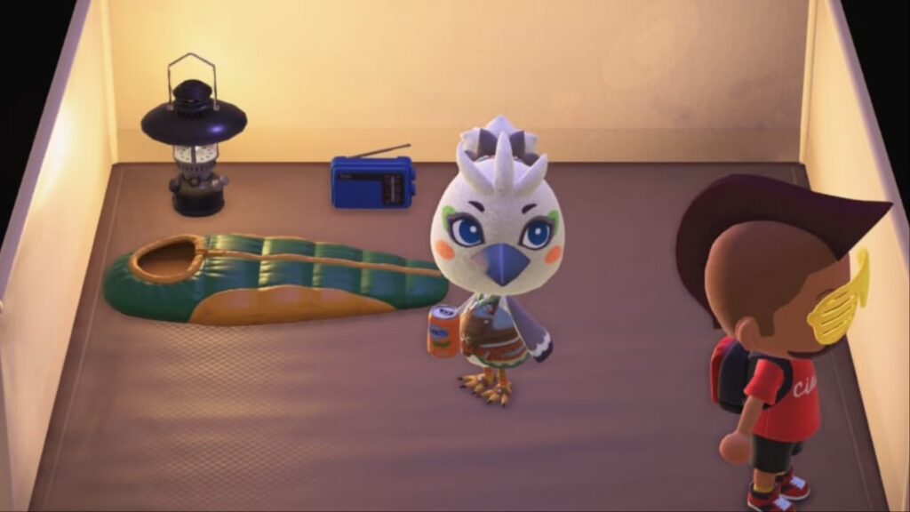 Cómo conseguir nuevos aldeanos en Animal Crossing New Horizons