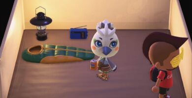 Cómo conseguir nuevos aldeanos en Animal Crossing New Horizons