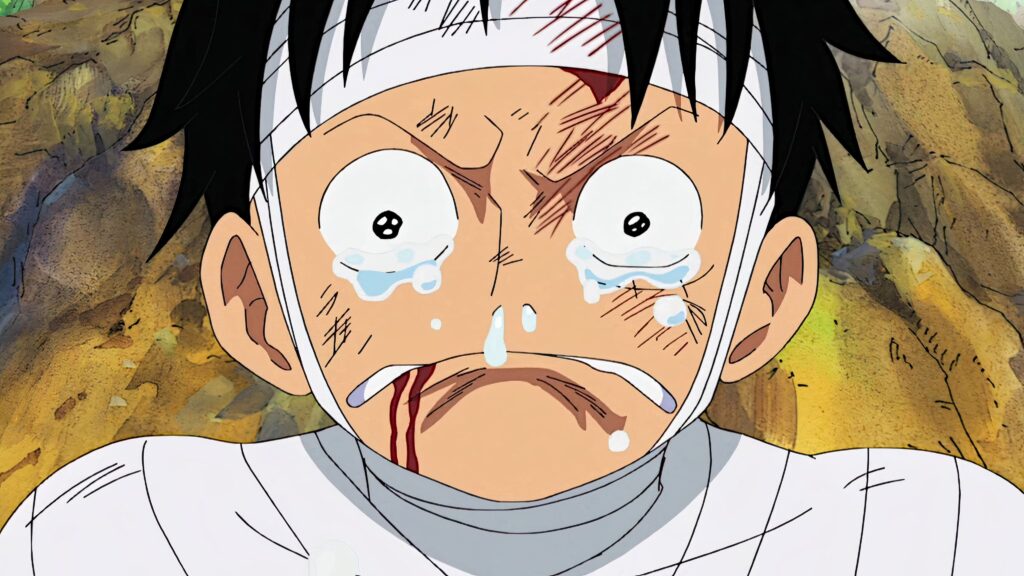 Di adiós a One Piece el 18 de enero (fecha de regreso confirmada)