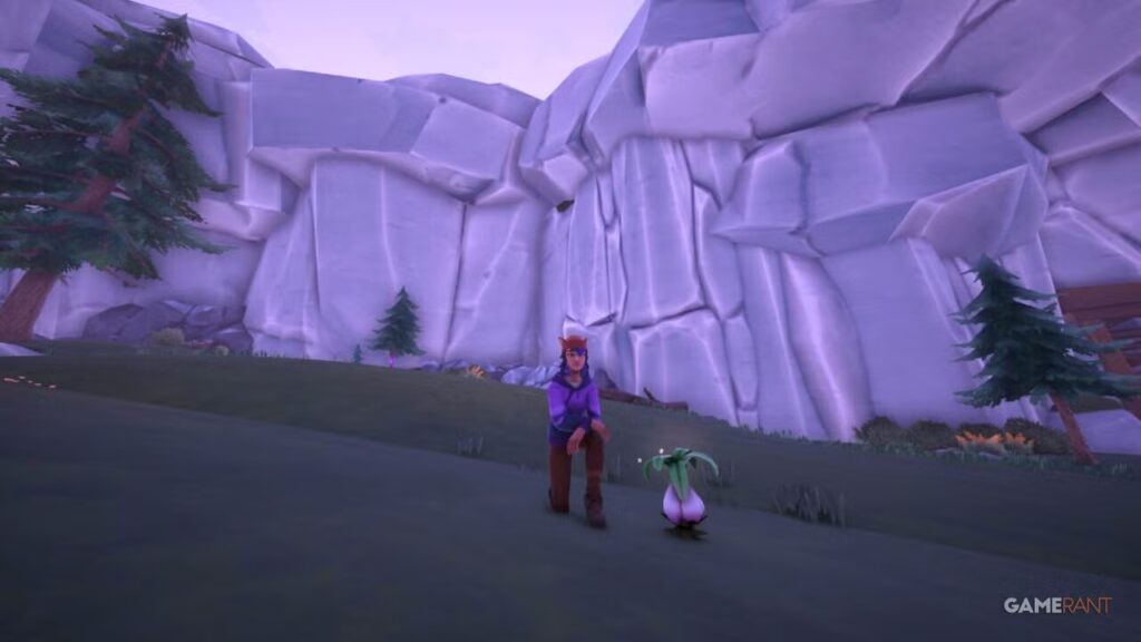 Dónde encontrar ajo silvestre