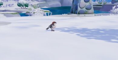 Dónde encontrar el alcaudón común en Heartopia