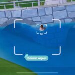 Ubicación del silbón europeo en Heartopia