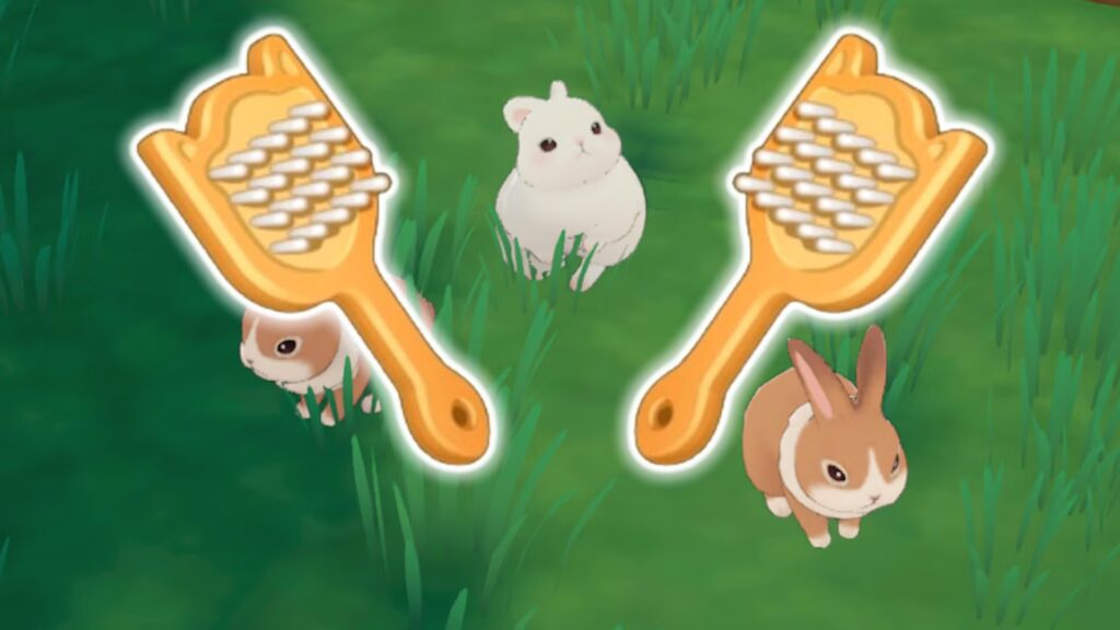 Cómo limpiar animales en Starsand Island