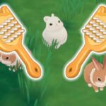 Cómo limpiar animales en Starsand Island