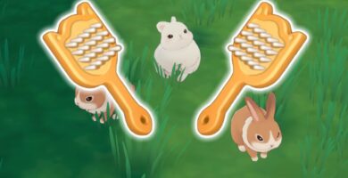 Cómo limpiar animales en Starsand Island