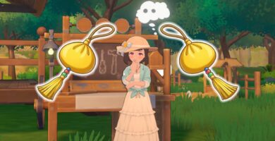 Cómo conseguir una bolsita calentadora en la isla Starsand