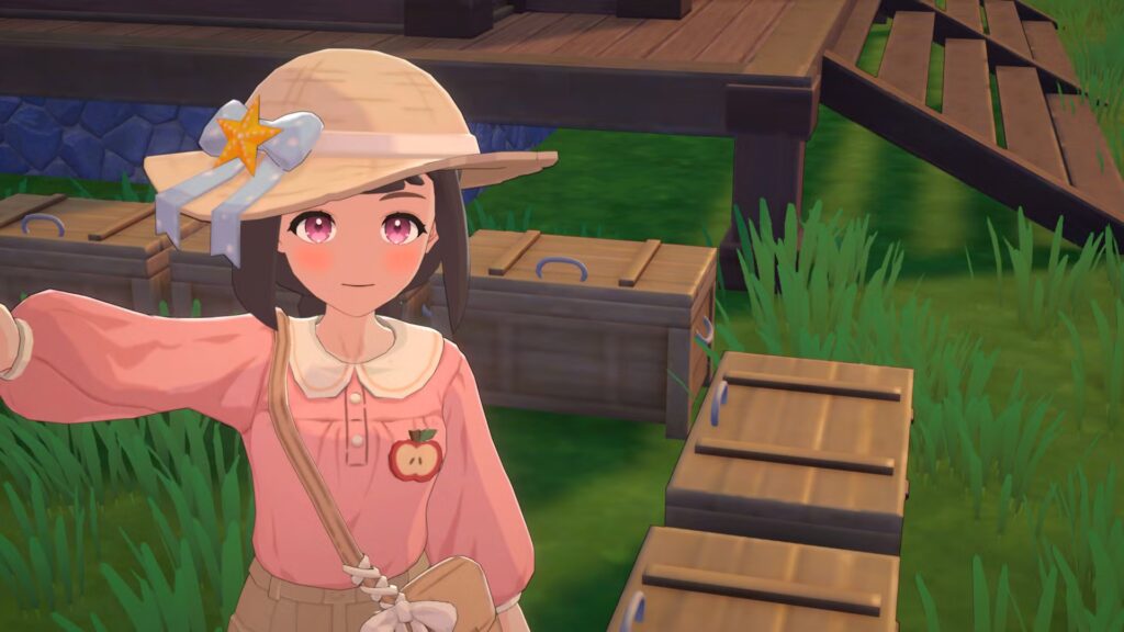 Cómo almacenar artículos en Starsand Island