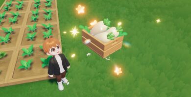 Dónde comprar semillas de rábano blanco en Heartopia