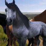 Los mejores caballos de Kingdom Come: Deliverance 2