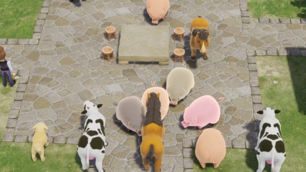 Cómo encontrar a los tres hombres musculosos en L'Arca Animal Festival