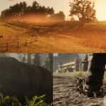 Todos los talismanes y baratijas (y ubicaciones)