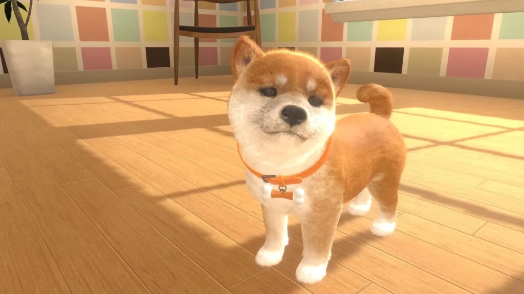 "No dejará de comprarlos" Nintendogs Super Fan ha adquirido 52 copias del juego hasta ahora, pero es por una causa noble
