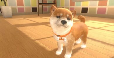 "No dejará de comprarlos" Nintendogs Super Fan ha adquirido 52 copias del juego hasta ahora, pero es por una causa noble