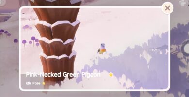 Ubicación de la paloma verde de cuello rosado en Heartopia