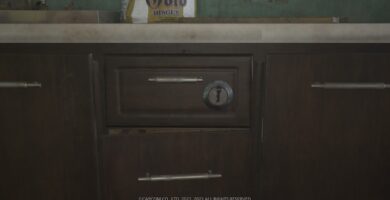 Cómo encontrar ganzúas y abrir cerraduras