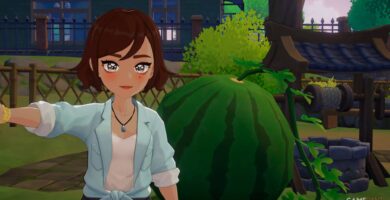 Todas las semillas y cómo conseguirlas