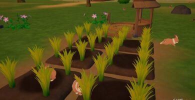 Starsand Island: Guía de agricultura para principiantes