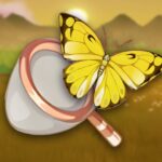 Todas las ubicaciones de errores en Starsand Island