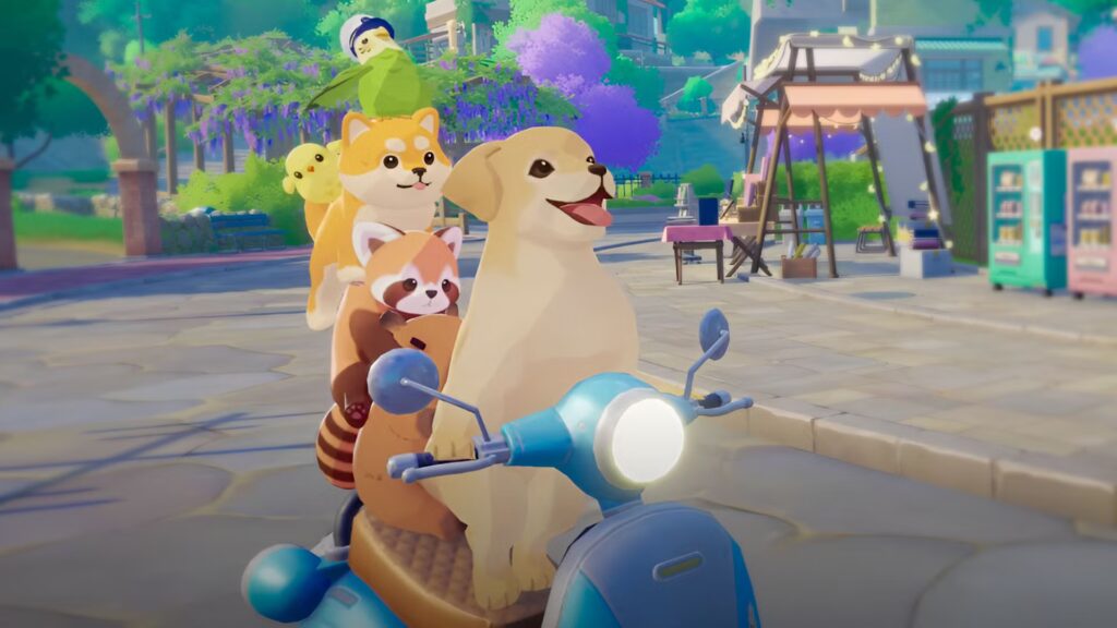 Guía de pago de alquiler de viajes en Starsand Island