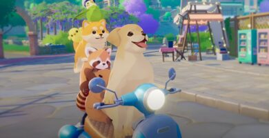 Guía de pago de alquiler de viajes en Starsand Island