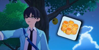 Starsand Island: Guía de panales y apicultura