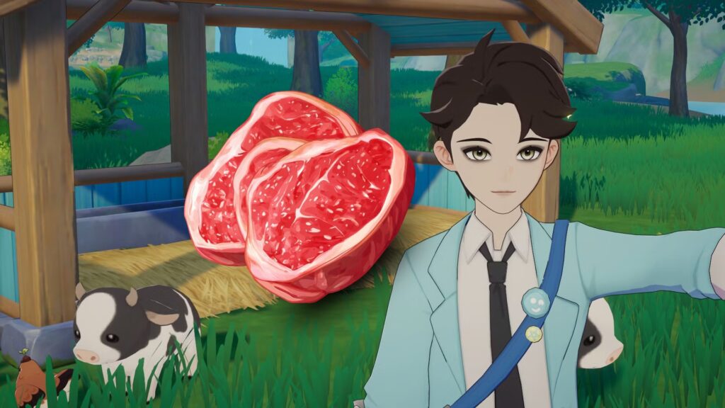 Guía completa de carnes y aves