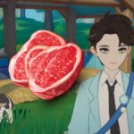 Guía completa de carnes y aves