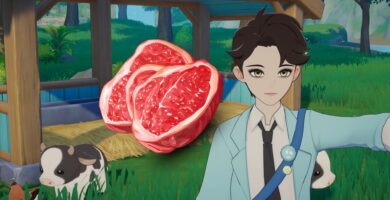 Guía completa de carnes y aves