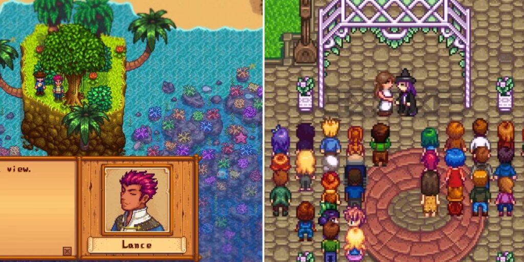 Grandes modificaciones de Stardew Valley que agregan candidatos a matrimonio