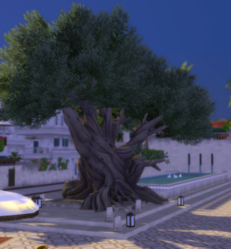 Guía del árbol Zanbira (ubicación, bendiciones, recitación)