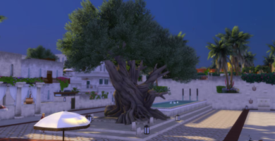 Guía del árbol Zanbira (ubicación, bendiciones, recitación)